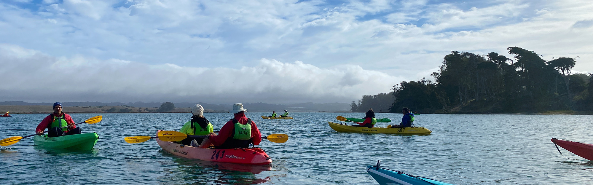 Water Sports Store -Water Sports Store 2