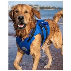Red Paddle Co. Red Paddle Co Dog Buoyancy Aid -Water Sports Store red paddle co dog buoyancy aid blue xs 330 480 mm blue 6