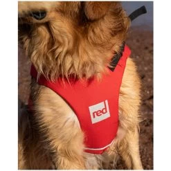 Red Paddle Co. Red Paddle Co Dog Buoyancy Aid -Water Sports Store red paddle co dog buoyancy aid red 5 1